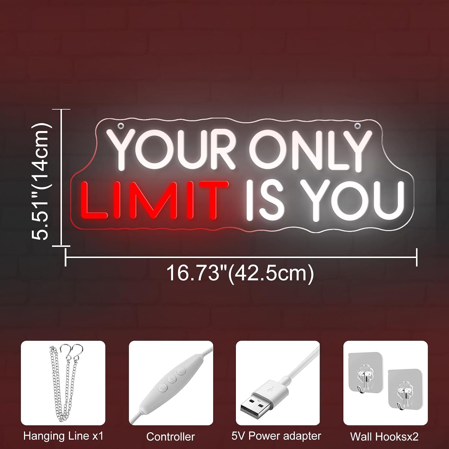 Your Only Limit Is You Neon Sign, Custom Gym LED Neon Light for Home Gym, Fitness Studio, Workout Room, Garage Training Space, Motivational Wall Decor, Gift for Gym Lover 16.7" x 5.5"