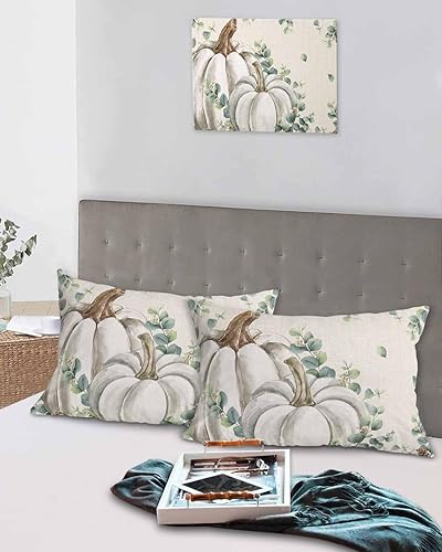 Miniatura 5 de Fundas de almohada de tamaño estándar de calabaza de eucalipto, 2 paquetes de fundas de almohada suaves para cama, fundas decorativas para sofá de