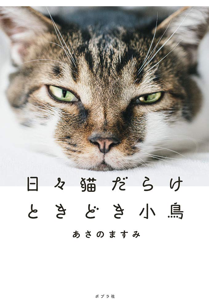 Amazon.co.jp: 日々猫だらけ ときどき小鳥 : あさの ますみ: 本