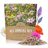 Wildflower Seeds Annual Quick Blooming Mix - Large 1 Ounce Packet Over 7,500 Open Pollinated Seeds