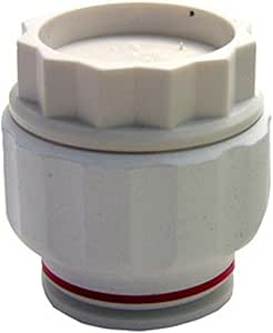 LASCO 19-6211 End Cap Push-in Fitting With 1/4-Inch OD