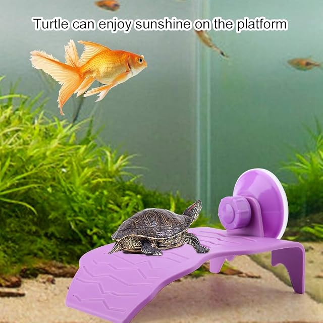 Foto 5 de 8 de FTVOGUE Tortuga de plástico Plataforma para Tomar el Sol Acuario Decoración Pecadero Ventosa Escalada Isla…