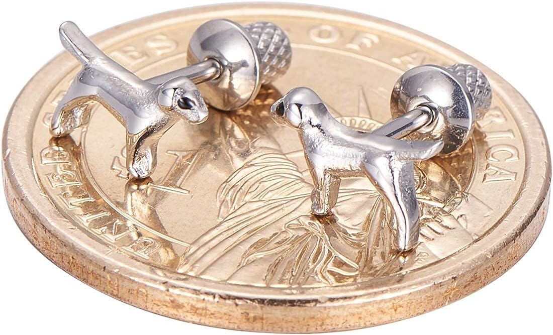 Earrings For Girls, Labrador Retriever Dog Hypoallergenic Earrings for Girls, Stud Screw On Safety Backs, Stainless Steel Ultra Sensitive Ears Post For Kids, Toddlers, Little Girls, Teens