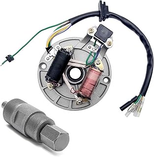QISF 2 Coil Ignition Magneto Stator Plate for 50 70 90 110 125cc Taotao Kazuma SSR Baja ATV Quad Dirt Kick Bike 4 Wheeler with 24mm&27mm Magneto Flywheel GY6 Puller ATV Scooter Repair Tool