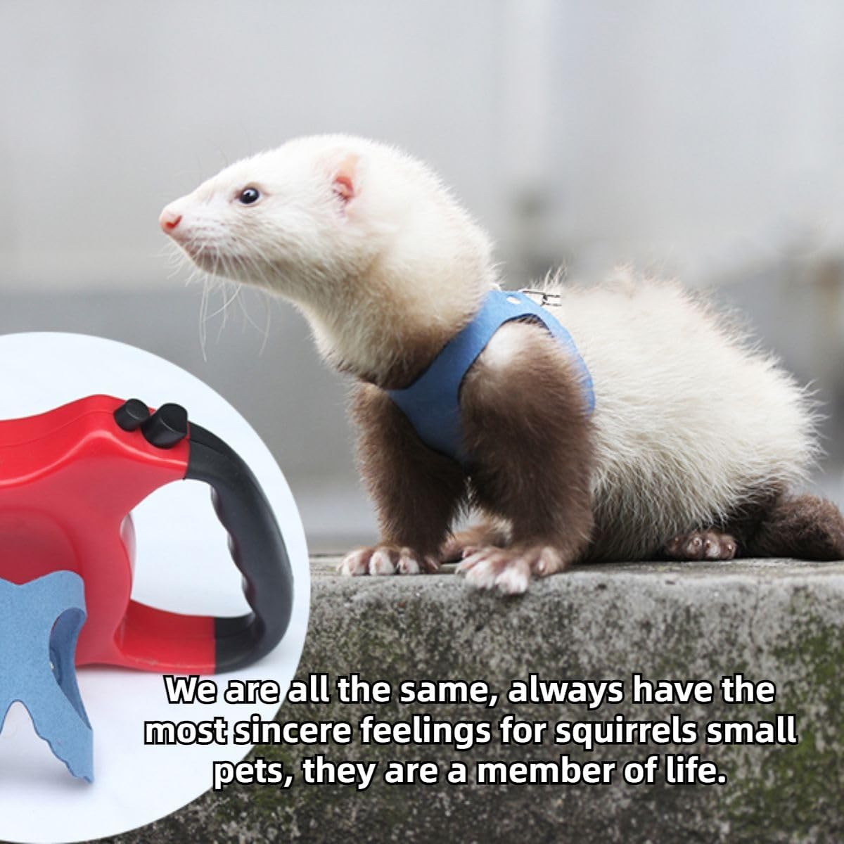 Ferret Traction Rope Strap Anti-Biting Chain Rope, Adjustable Vest, Small Animal Walking Harness with Lead Leash for Hamster Gerbil Rat Mouse Squirrel Chinchilla (Coffee)