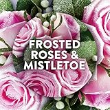 Air Wick Plug in Diffuser Twin Refill, Cosy Cottage Frosted Roses & Snowberry, Pack 1 x 19ml, Long Lasting Fragrance, Lasts up to 200 days, Plug in Air freshener - Image 2