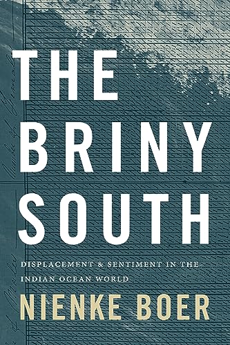 The Briny South: Displacement and Sentiment in the Indian Ocean World (Theory in Forms)