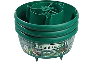 GP167G Green Plant Halos to Spice Up Any Greenery (Pack of 3)