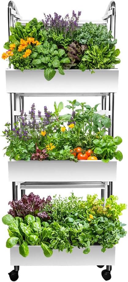 Mountain Valley Seed Co. Self Watering Microgreens Kit