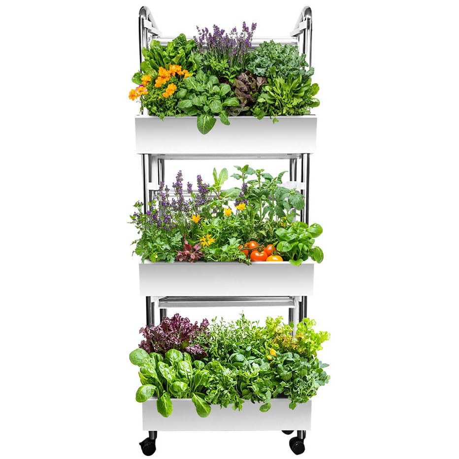 ※まみむー※DAC Plant Delivery まみむー※DAC Plant Delivery Amazon.com: Hydroponics Growing