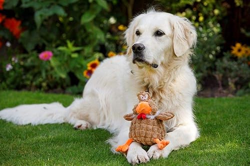 Vista 16 de Petface Farmyard Buddies - Juguete grueso para perros