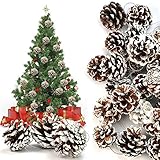 🌰【Diseño de cuerda colgante extendida】: cada cono de pino está equipado con una cuerda colgante plateada, que extiende la longitud de la cuerda y facilita colgarla en el árbol de Navidad. También puedes colgar decoraciones navideñas de conos de pino en cualquier lugar sin que se caigan fácilmente. También puedes quitar la cuerda y convertir las piñas en hermosos adornos que florecen con diferentes amuletos,