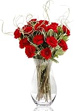 Sendabunch Luxury Red Carnation Bouquet - 24 Fresh Stems with Free Box of Belgian Chocolates, Greenery & Gift Message Card - UK Flower Delivery for Valentines Day, Birthdays & Special Occasions