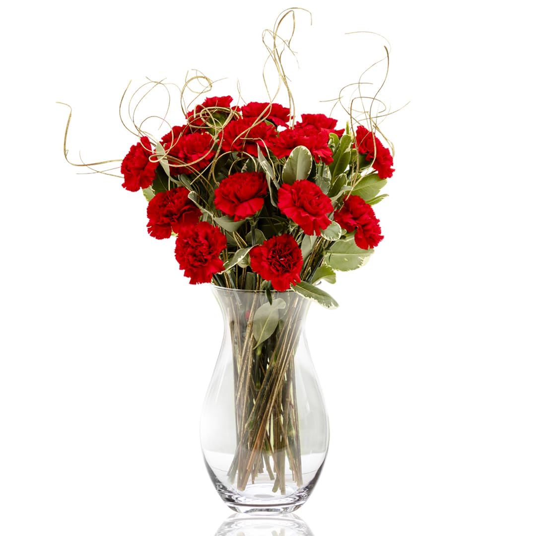Sendabunch Red Carnation Bouquet, 24 Fresh Stems | Luxury Flowers with Greenery, Belgian Chocolates & Gift Message Card