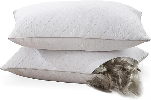 WOLKI Juego de 2 almohadas decorativas de plumón, para sofá, cama y sofá (12 x 20 pulgadas)