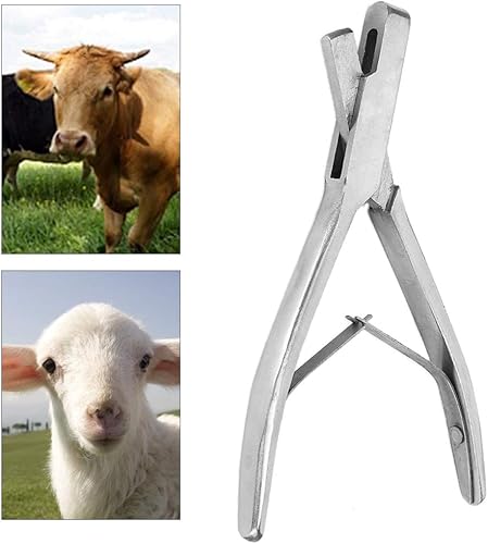Miniatura 6 de Alicates de etiqueta de oreja para ganado, alicates de oveja, pinzas de agujero para perforación, herramienta de identificación de animales,