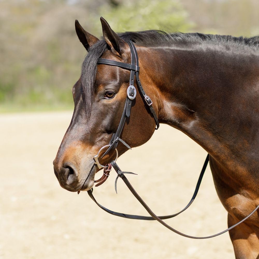 Billy Royal Black Leather Browband Headstall | Full-Grain Work Headstall for Horses with Stainless Hardware | Double Adjustable Cheeks | Horse Size 35"-42" | Size Full Horse