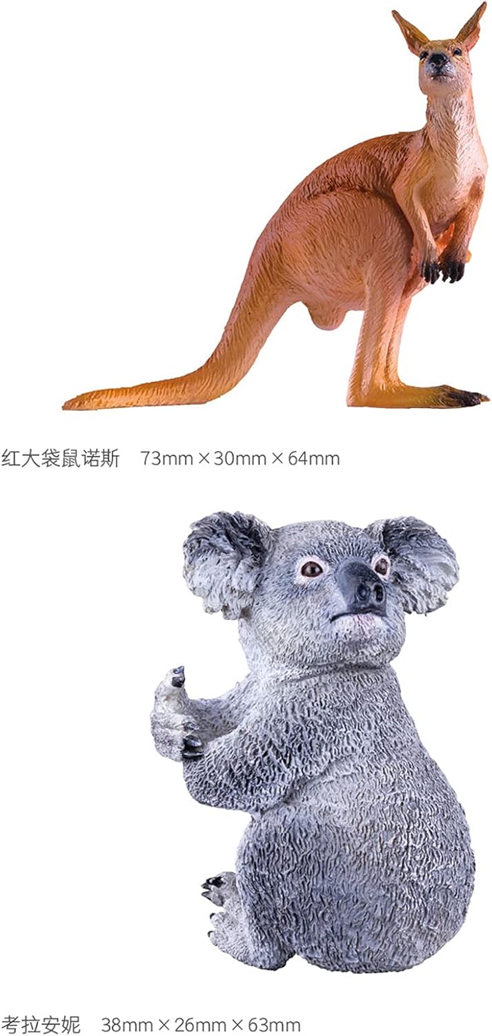 Amazon Pnso 動物園シリーズ オセアニアの動物 5個セット アカカンガルー コアラ カモノハシ キノボリカンガルー ヒクイドリ 野生動物 プラモデル 模型 フィギュア リアル Pvc プレゼント オリジナル 塗装済 完成品 フィギュア ドール 通販