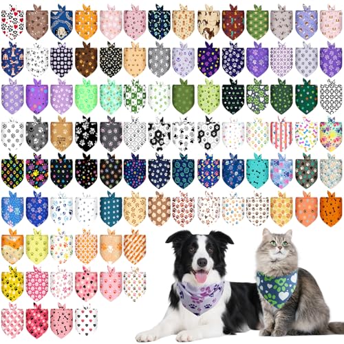 PAWCHIE 100  o_i oN ybg 悾ꂩ  Jt Op XJ[t ybg o_i iq tFXeBoX^C ~^ q L t  a RX`[ fR[V