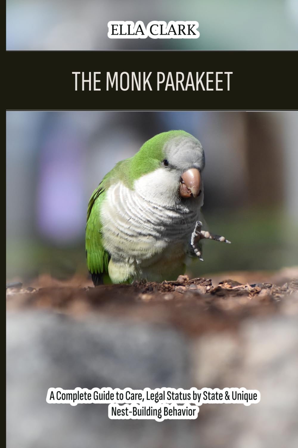 The Monk Parakeet (Quaker Parrot): A Complete Guide to Care, Legal Status by State & Unique Nest-Building Behavior