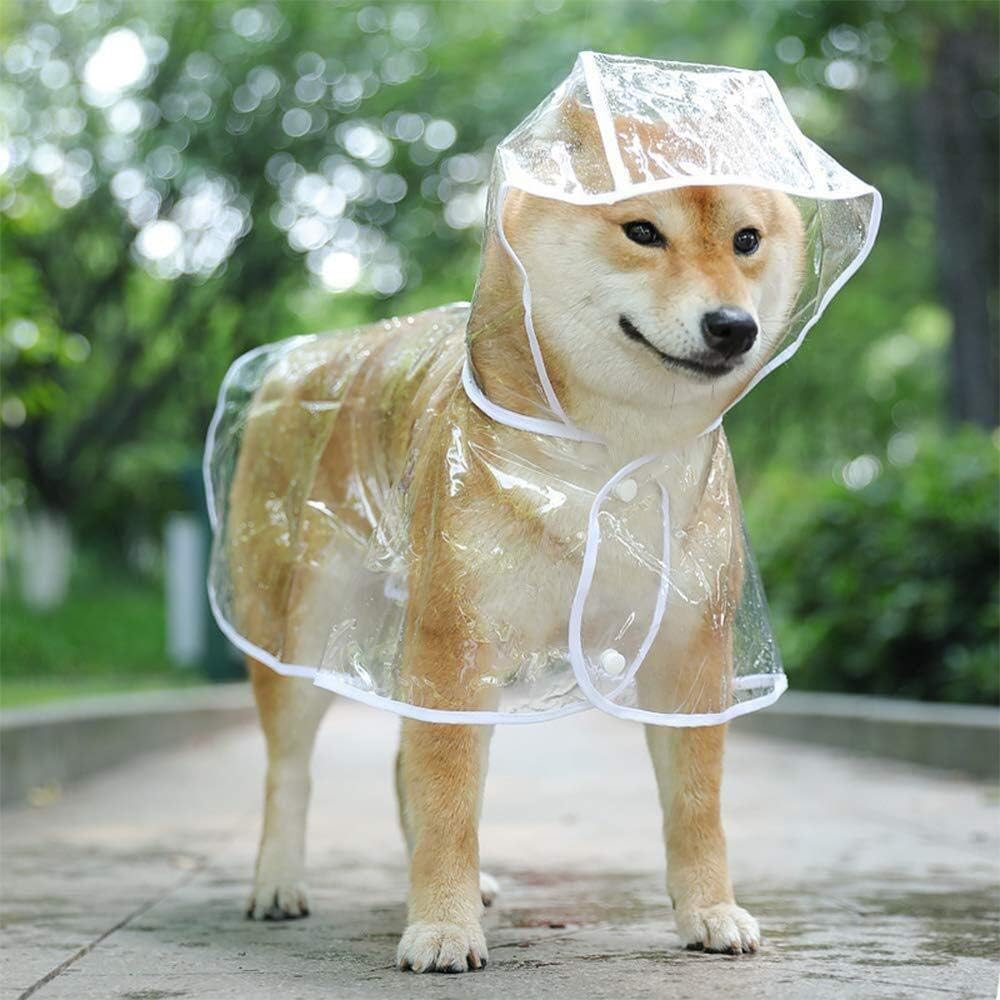 cat raincoat