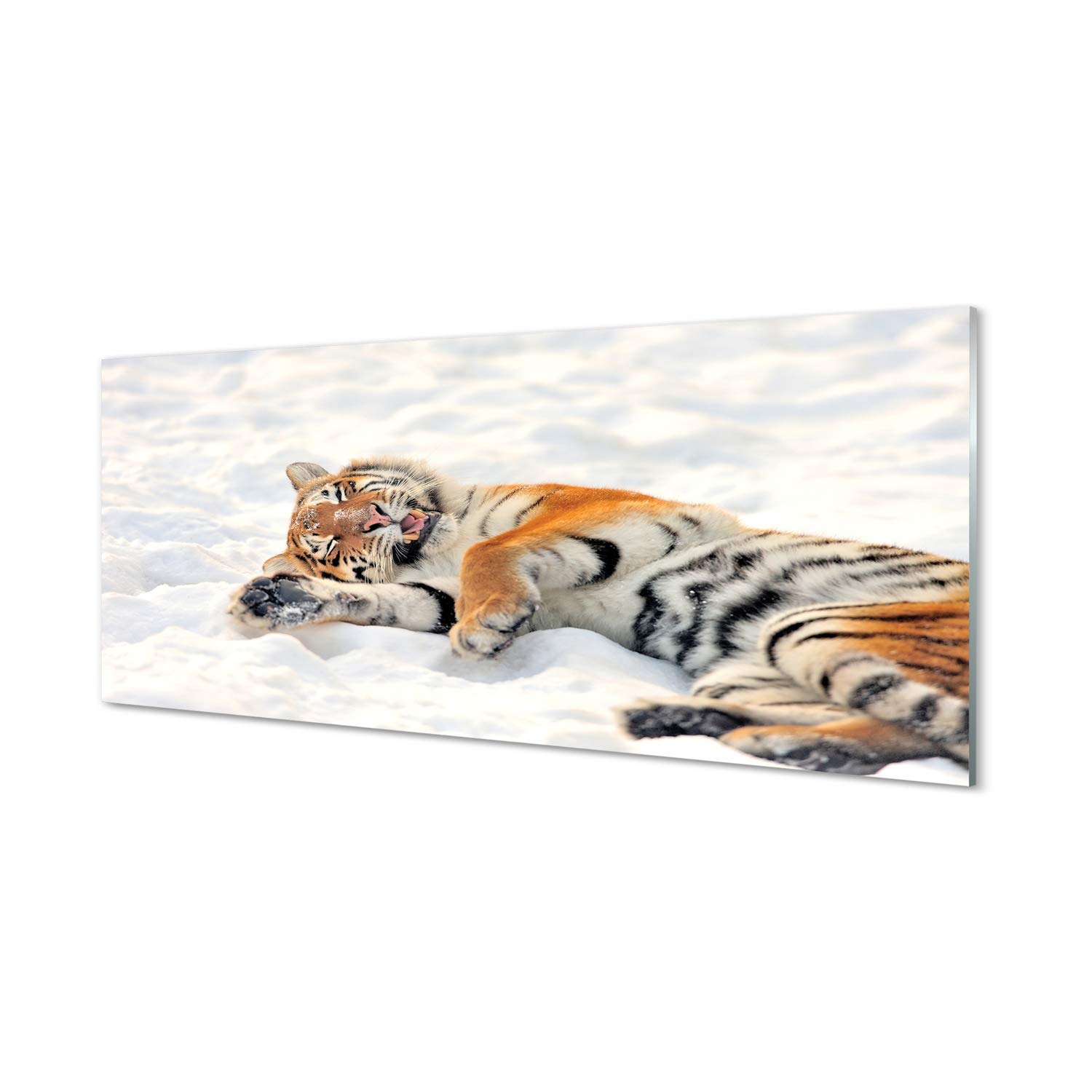 Impression sur verre acrylique Tulup 125x50cm tableau mural tigre d'hiver