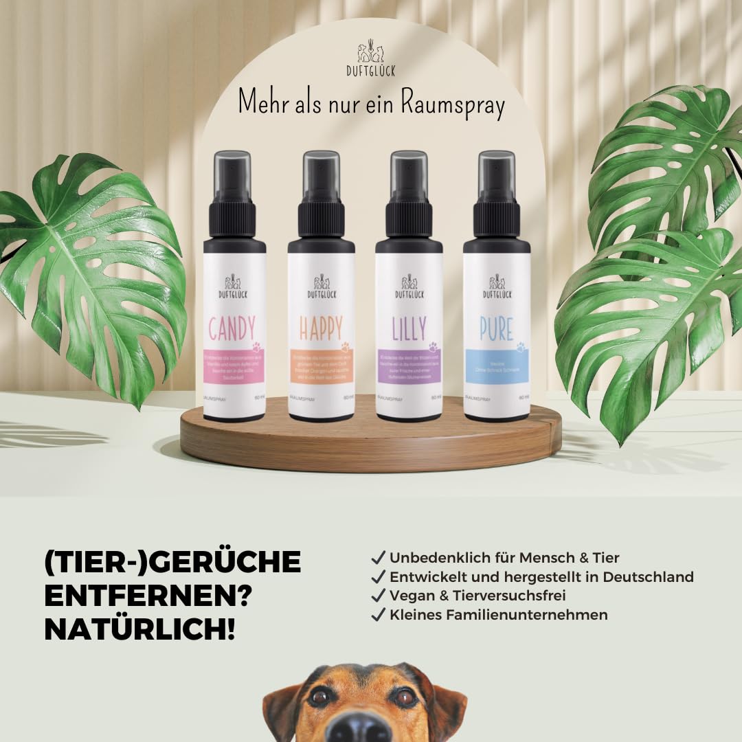 Geruchsneutralisierer Lilly - Neutralisierungsspray Hunde und Katzen Gerüche I Katzenurin Geruchsentferner I Raumspray gegen Hundegeruch I Duft: Lavendel & Bergamotte I 60ml