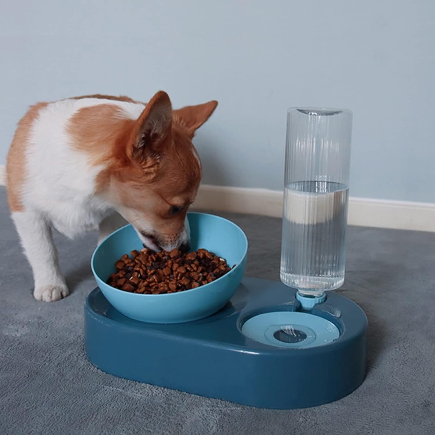 Pet Bowls Pet Bowl Double Cat Bowl Dog Bowl with Raised Stand Pet Supplies Cat Water Bowl for Cat Food Bowls for Dog Feeder Pet Products(Blue,Black)