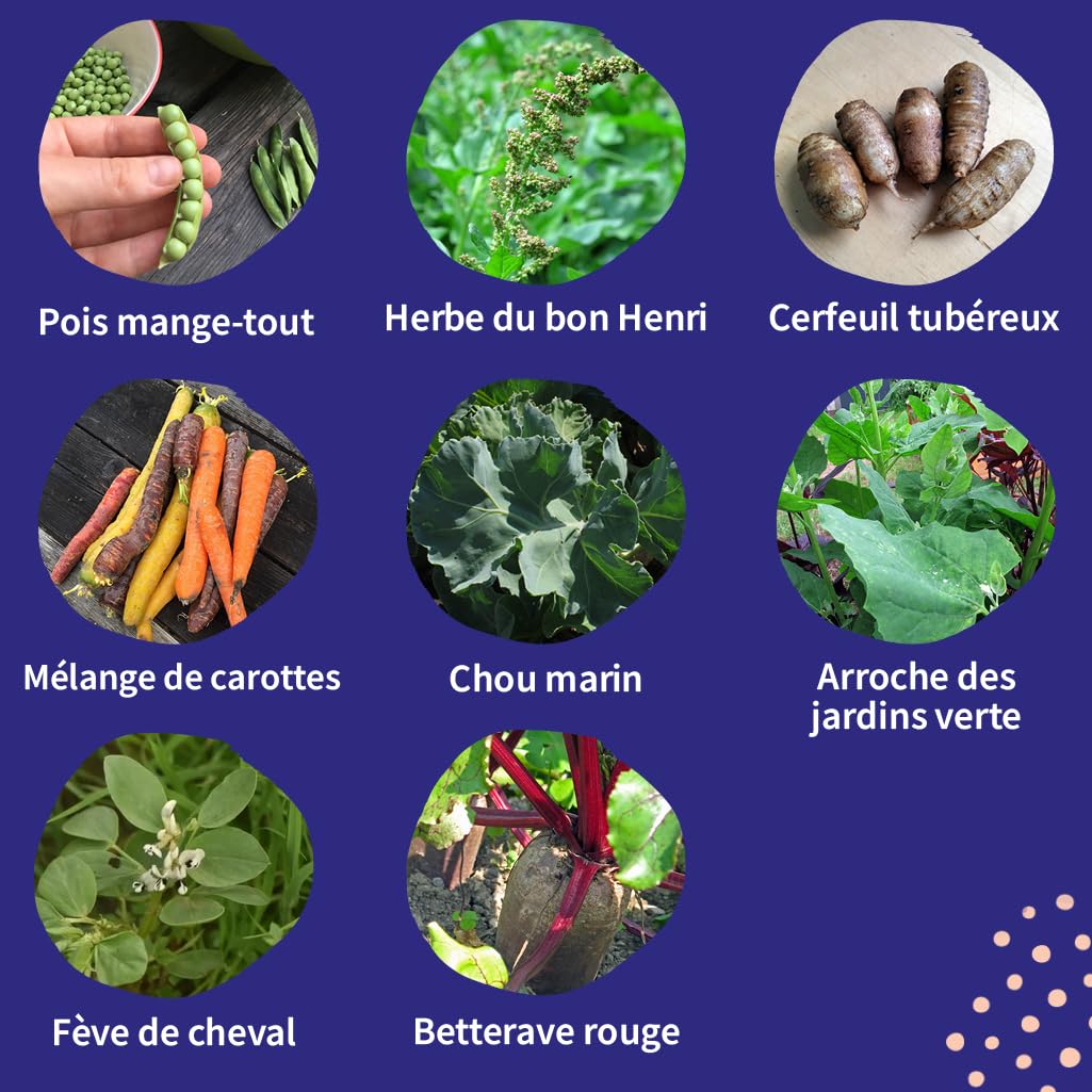 Légumes rares kit cadeau graines 8 variétés