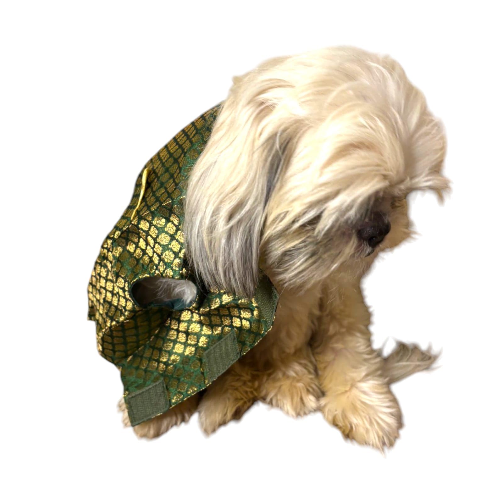 Dog Green Sherwani XL Pack of 1-image-0