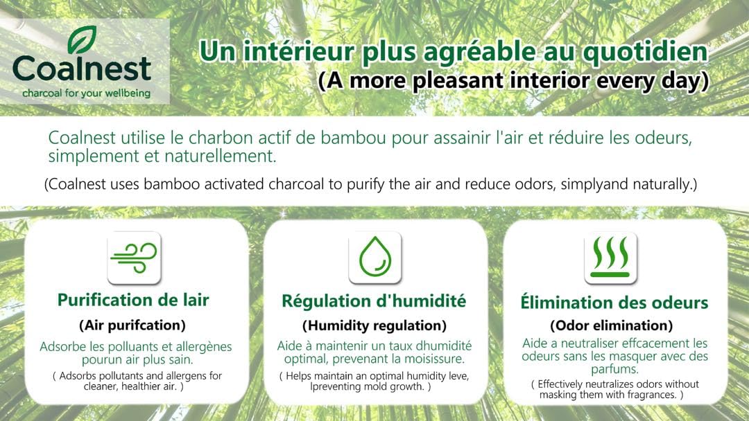 Purificateur d’air au charbon actif de bambou | Anti‑odeurs & anti‑humidité | Kit pyramides décoratives + sachets rechargeables | Écologique & longue durée | Kit Purifiant au Charbon Actif