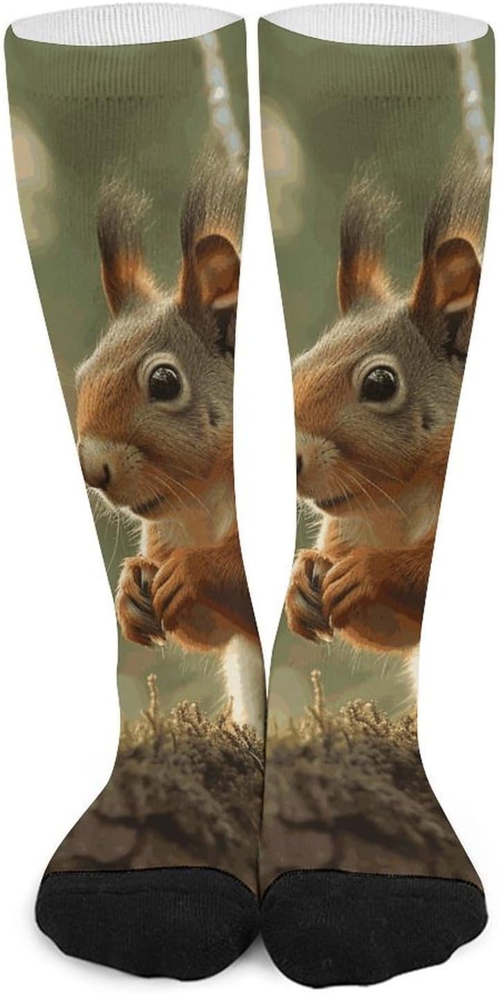 Knee High Socks Squirrel Long Tube Boot Seamless Toe