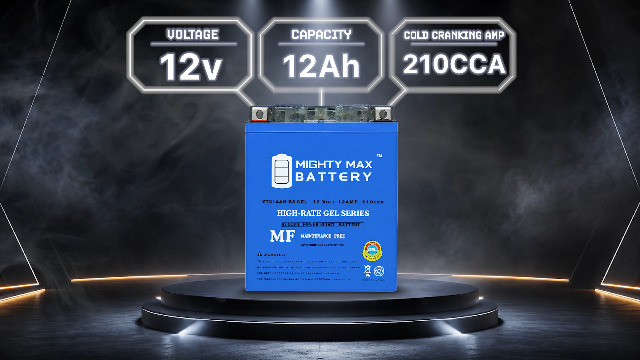 Amazon.com: Mighty Max Battery YTX14AH-BS Gel 12V 12Ah Battery for
