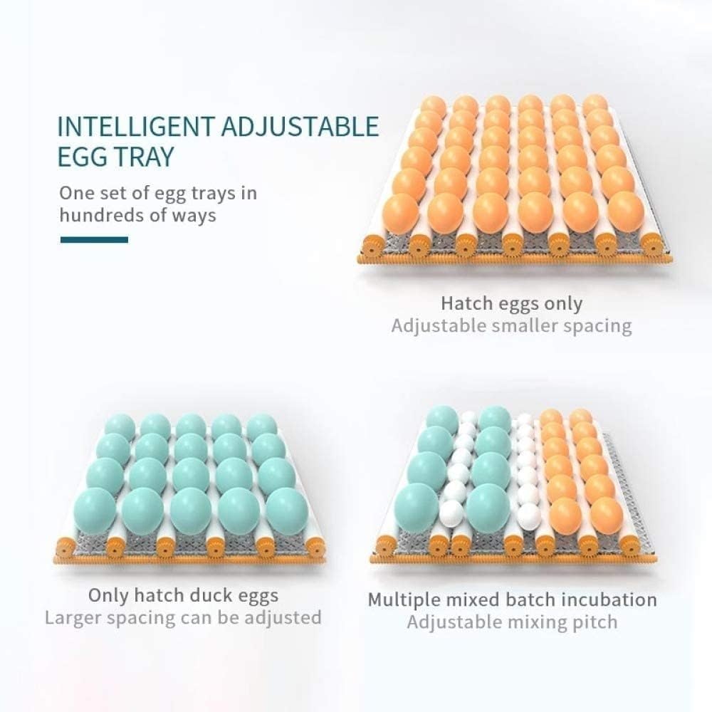 Digital Egg Incubator,Automatic Digital 152/176/232 Eggs Poultry Hatcher Tool Automatic Turning Temperature Control for Chicken Duck Pigeon Quail Bird(232 Eggs)