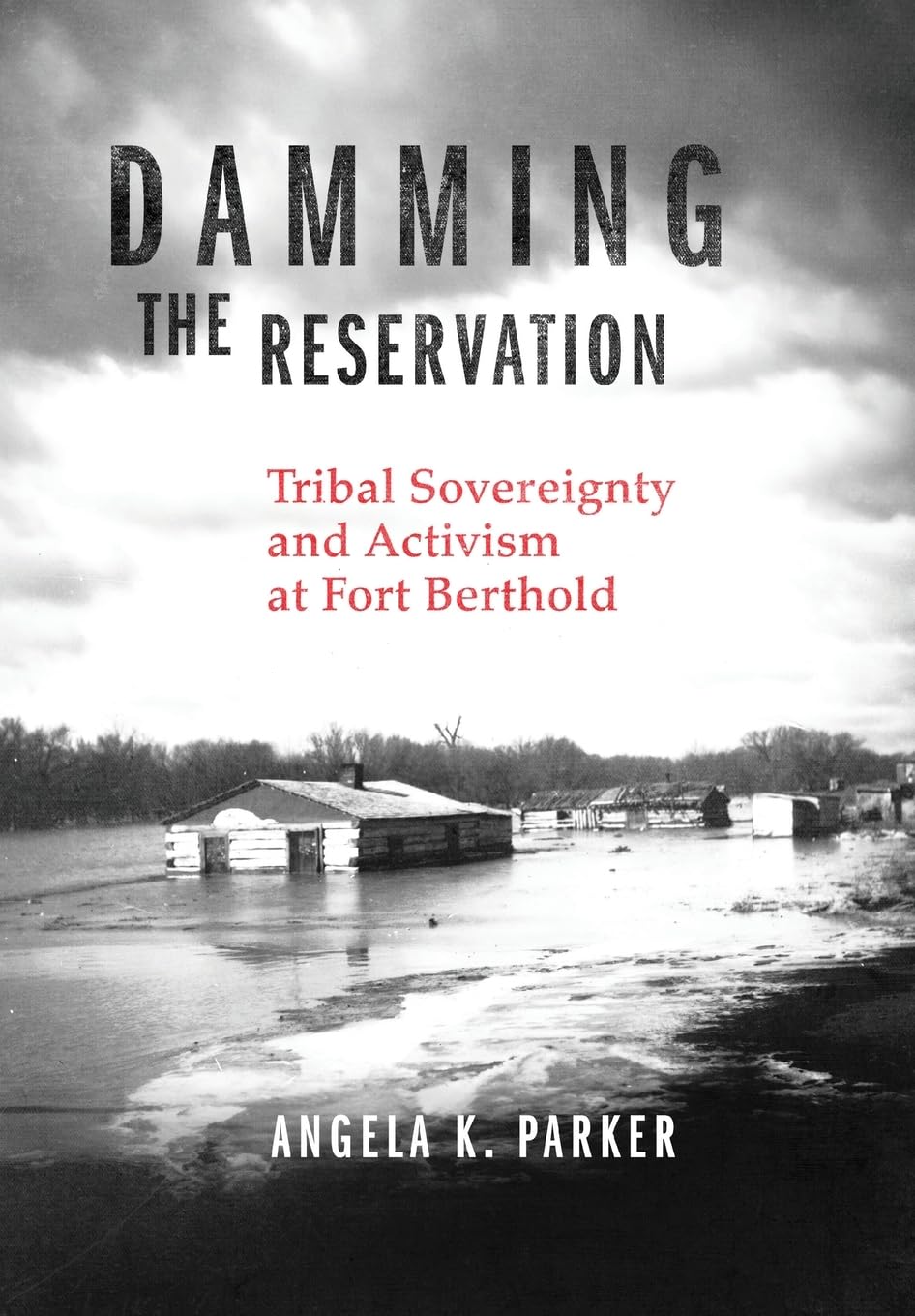 Damming the Reservation: Tribal Sovereignty and Activism at Fort Berthold (Volume 23) (New Directions in Native American Studies Series)      Hardcover – September 10, 2024