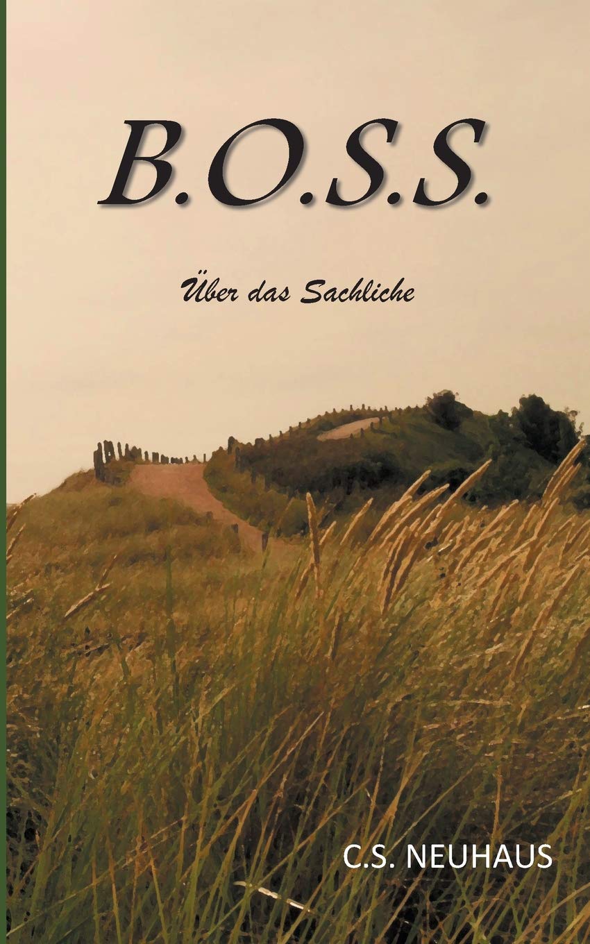 Boss: Über das Sachliche