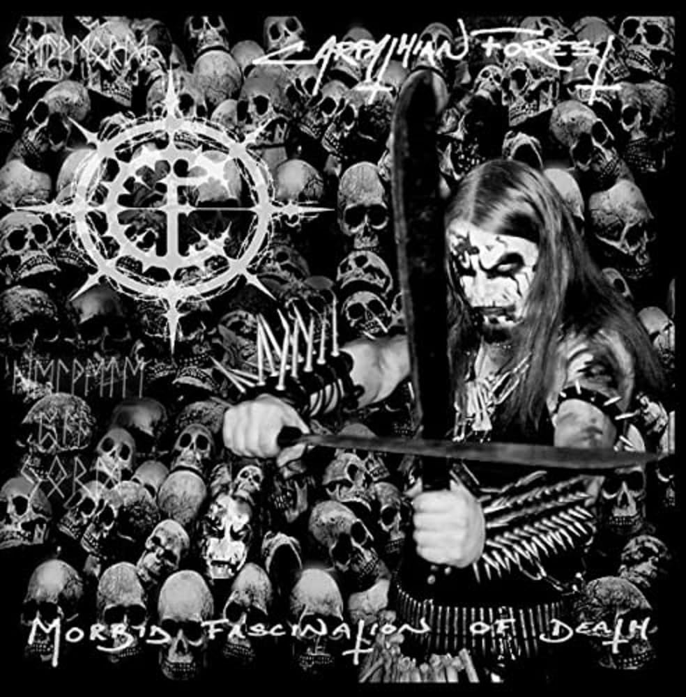 Morbid Fascination Of Death