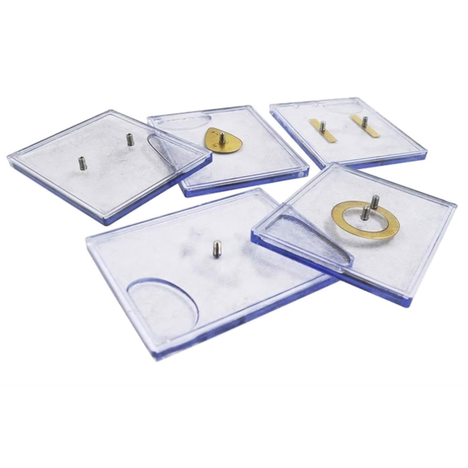 Kit for Test di distribuzione del Campo elettrostatico Multi-Scenario Allineamento Micro Scaglie Proiezione di Linee del Campo Elettrico Elettrodinamica Fisica