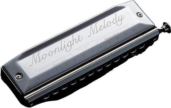 Beginners harmonica Chromatic Harmonica 12 Holes 48 Tone Harmonicas Circular Arc Blow Hole Silver Chromatic Harmonica