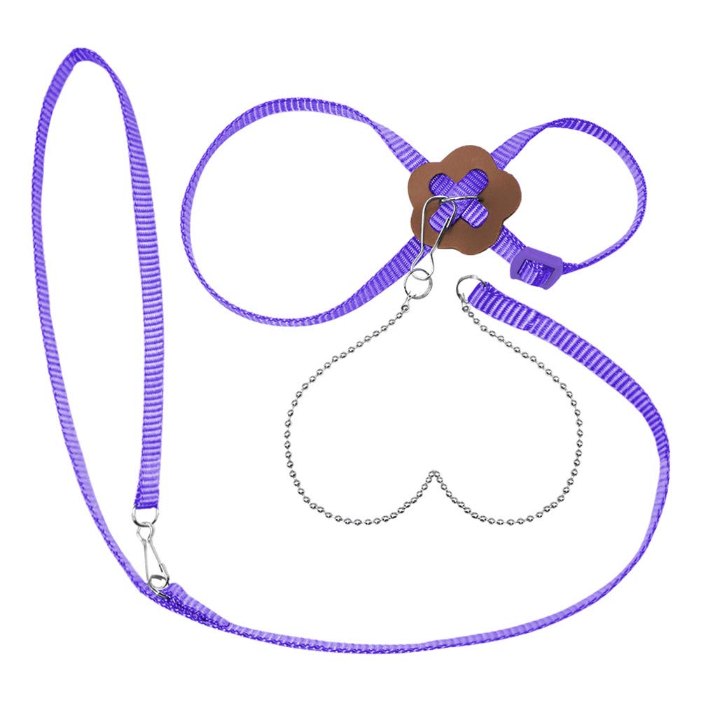 SOCHII Imbracatura e guinzaglio in nylon per criceti, furetti, topi, coniglietti, pettorine, guinzaglio, guinzaglio, accessori per porcellini d'India, Chest Below 23cm, Raissa metallizzate