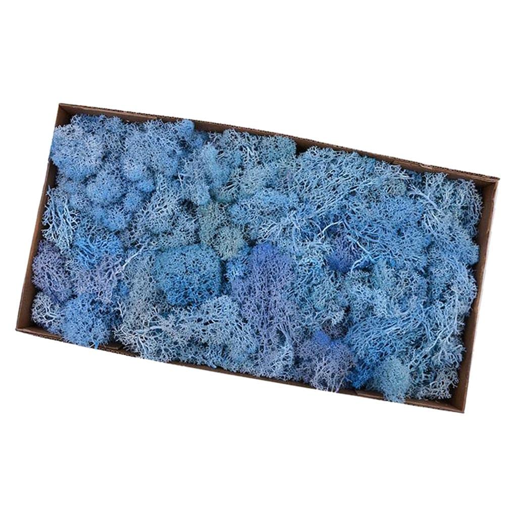 Reindeer Fiore Artificiale Fiore Preservato Fiore Secco Fiore Liner Muschio Naturale Stabilizzato con Adatto per Decorazione Domestica, Blu