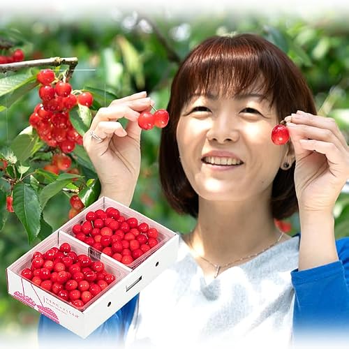 さくらんぼ 紅秀峰 700g」の人気商品一覧・価格比較 - 価格.com
