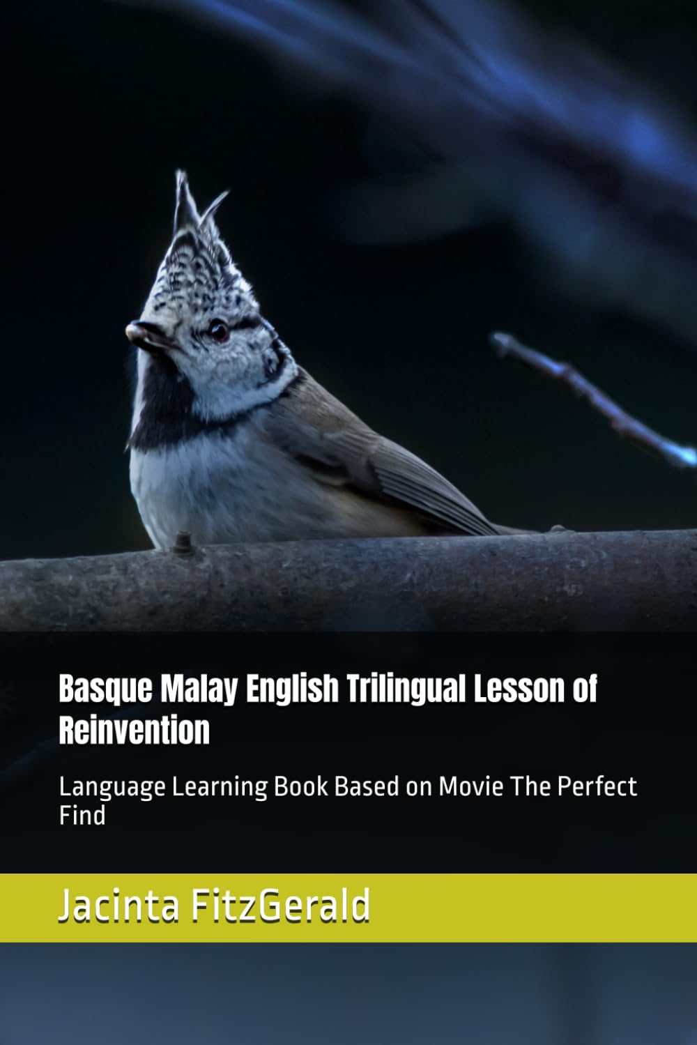 Basque Malay English Trilingual Lesson of Reinvention: Language Learning Book Based on Movie The Perfect Find