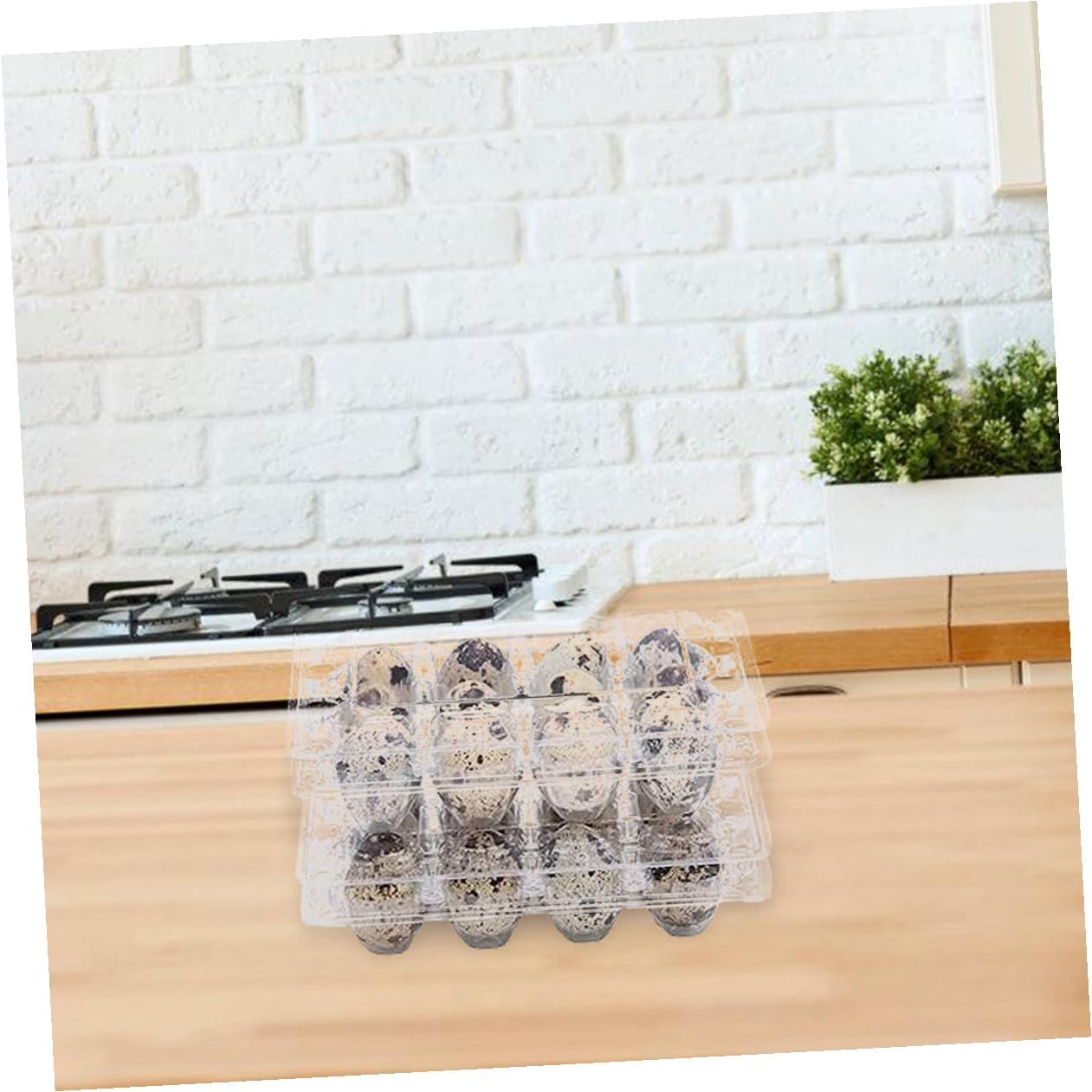 DOITOOL 70pcs Quail Egg Cartons Plastic Tray Egg Storage Container 12 Grids Holder Box for Convenient Access and Foodgrade Material Suitable for Home Kitchens