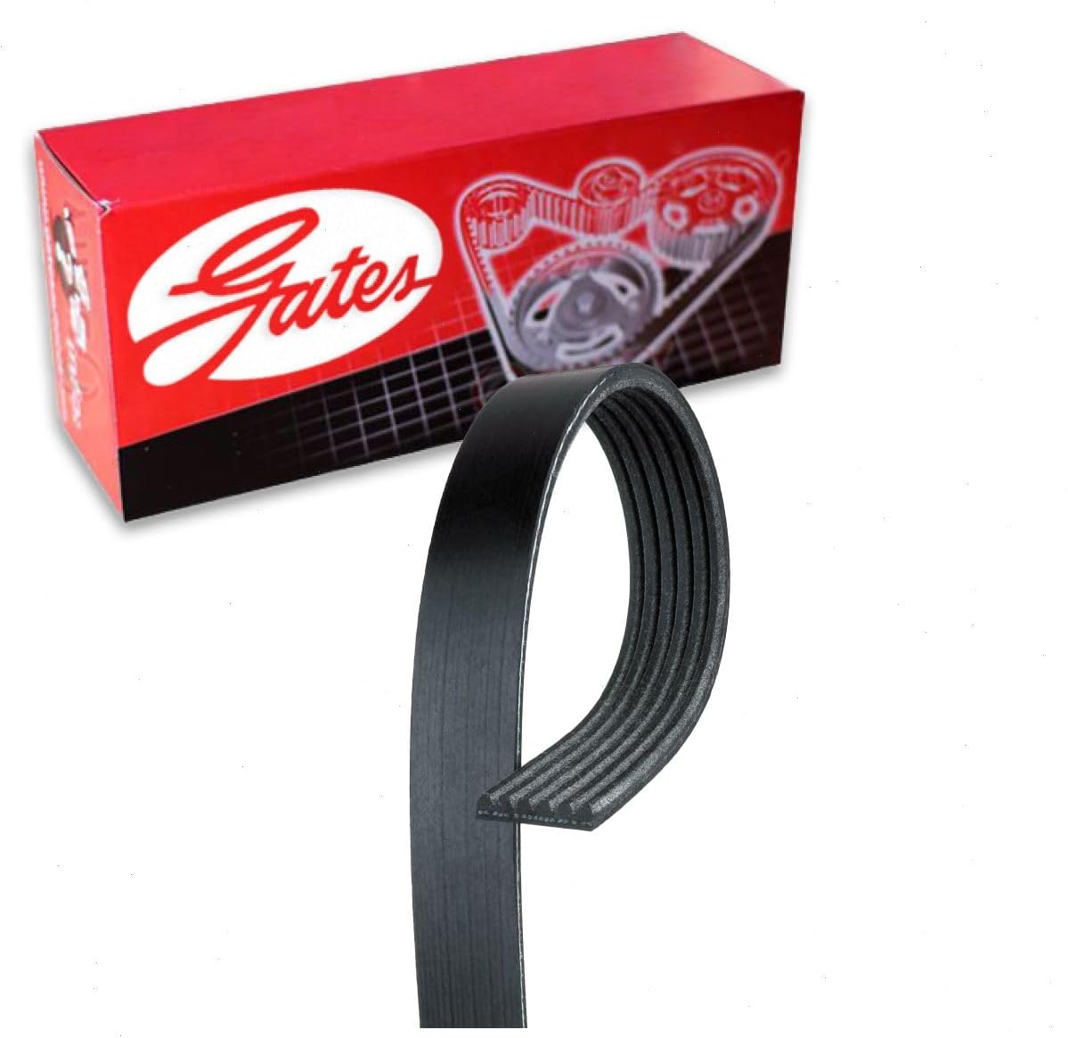 Gates Micro-V Serpentine Belt compatible with Toyota Corolla 1.8L L4 2011-2017