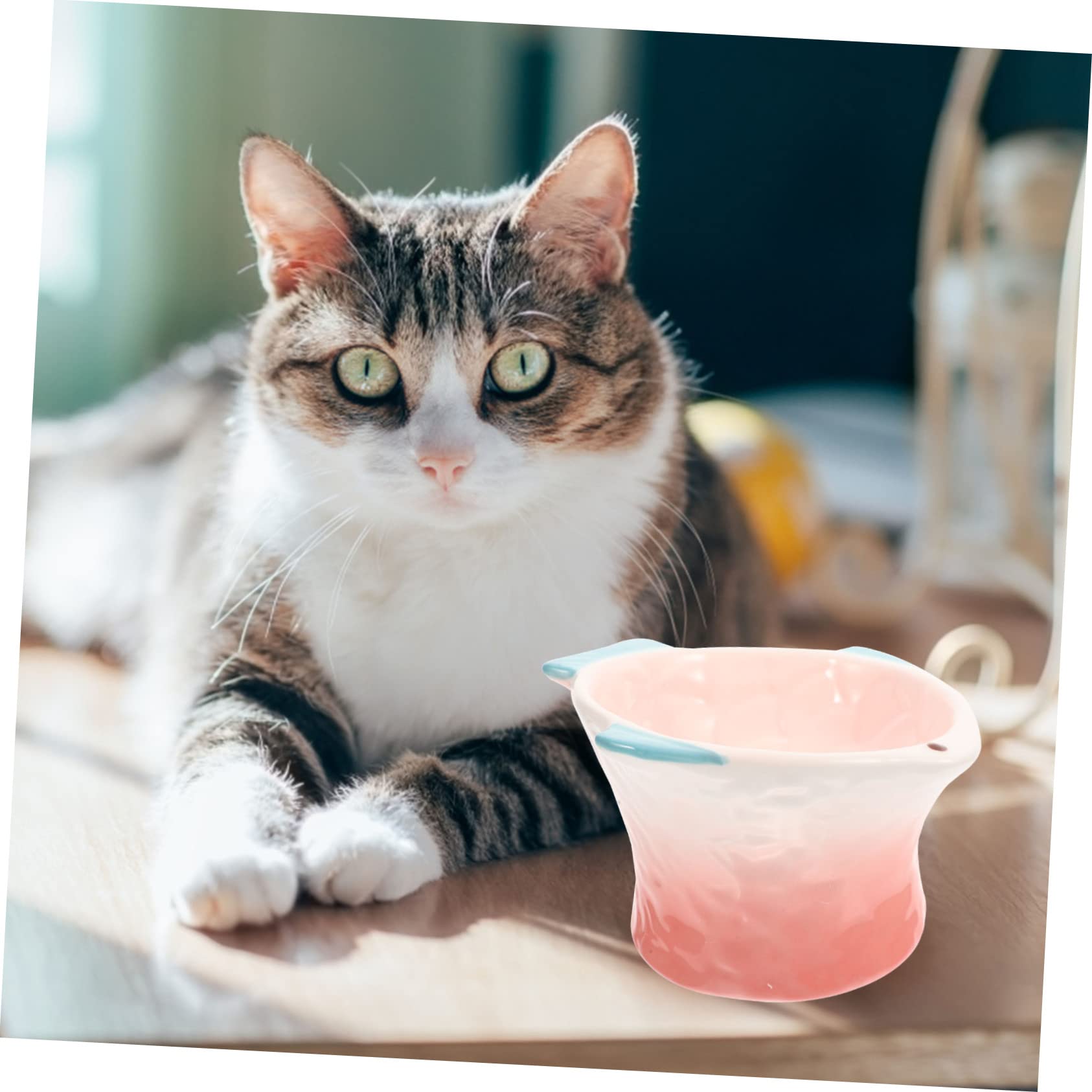 UPKOCH Ciotola per Gatti Rialzata in Materiale Ceramico Rosa Creativa per Cibo e Snack, Facile da Pulire per Gatti e Cani