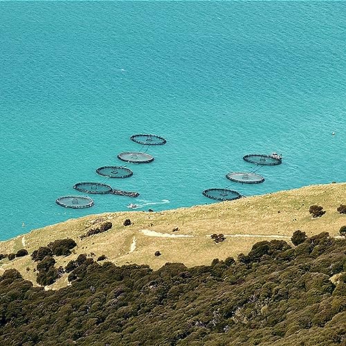 Feeding Aotearoa - a National Science Challege Panel Talk Podcast Por  arte de portada