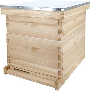POLLIBEE 8 Frame Beehive kit, Complete Bee Hive for Beekeeper, Langstroth Bee Hives Include 1 Deep and 1 Medium Bee Box with Bee Frames and Foundation(Unassembled)