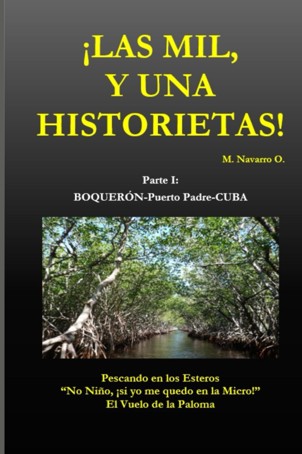 ¡LAS MIL Y UNA HISTORIETAS!: Parte I: BOQUERÓN-PUERTO PADRE-CUBA