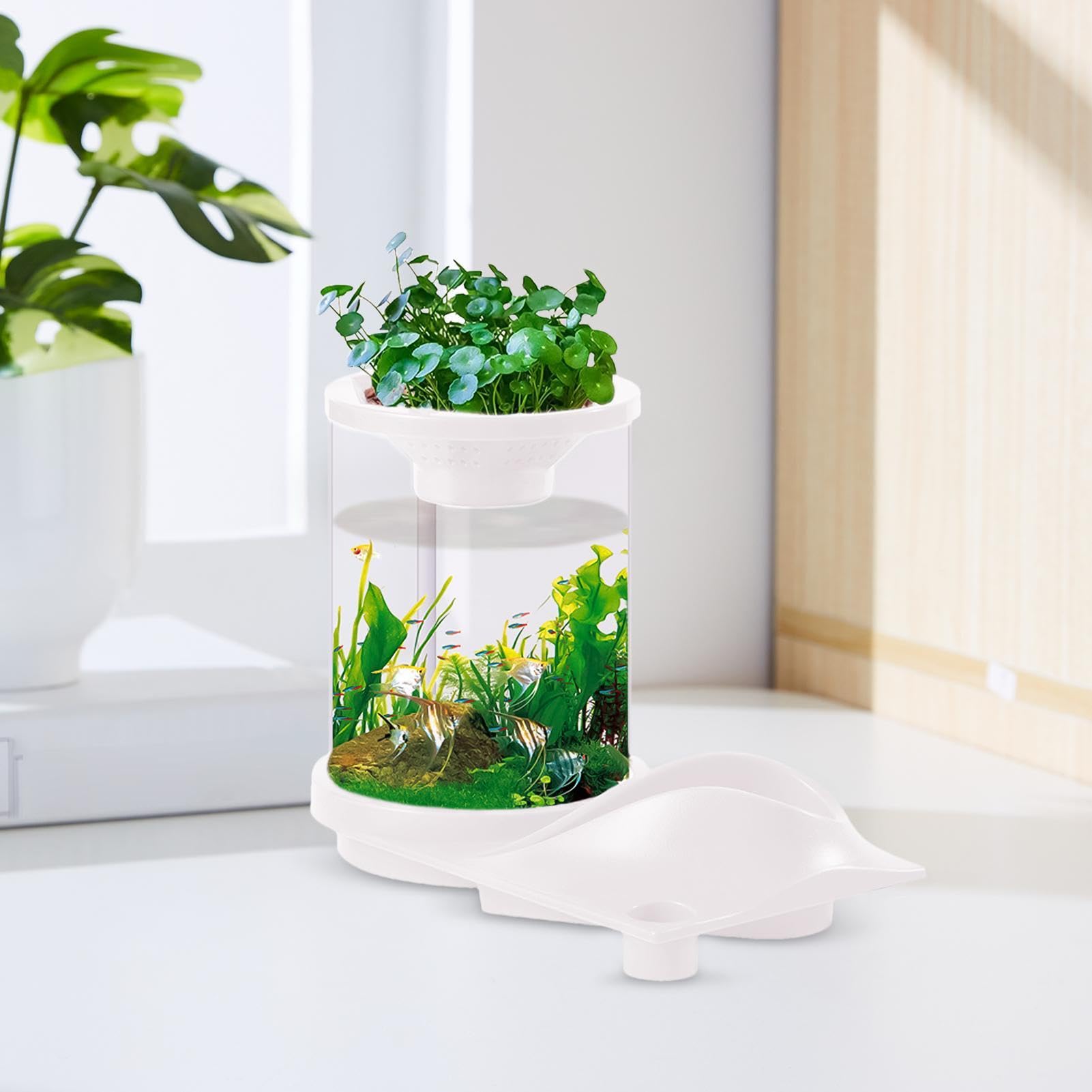 Piccolo acquario Aquaponic, piccolo acquario Betta